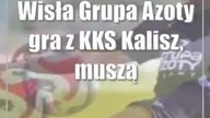 Wisła Grupa Azoty gra z KKS Kalisz, muszą sobie radzić bez kapitana