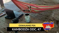 Kambodża - Pies Szarik (odc.  47)