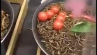 Robale na Targach w Lublinie