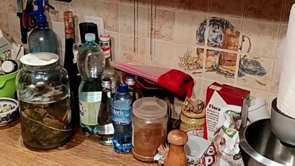 Zasmakuj w Sienkiewiczu - Staropolskie Gotowanie z Sarmatą! Robimy wołowinę o zupę z lubczykiem!