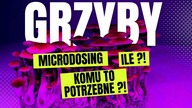 MICRODISING PSYLOCYBINY | MIKRODOZOWANIE GRZYBÓW | Kuba z Mushup