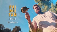Biała herbata Pai Mu Tan.  Czajnikowy.pl