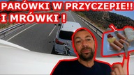 3200 km z przyczepą kempingową.  Ile czasu zajmuje taka trasa ? Parówki i mrówki w podróży :) / V125