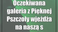 Gorąca Pszczoła