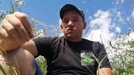 HDGP-Michał Fus Zioła w hodowli gołębi pocztowych