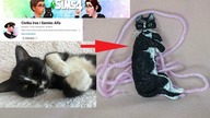 Czarny Kot Ciotki Irse Samca Alfa | Magnes | FIMO | Polymer clay