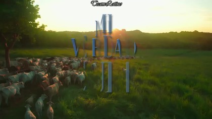 Mi verdad oculta 005 NAPISY PL