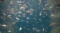 AFRYKARIUM WROCŁAW 13 08 2023 (5)