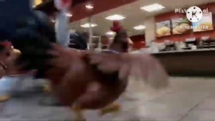Chickens from Chicken Run go to McDonalds