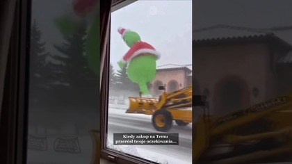 Grinch #humor #komedia #śmieszne #zaskoczenie #zakupy #haha #zabawne #funny #grinch #snow #dance