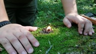 Fire starter - light my Fire - 80% żywicy / Tinder Sticks