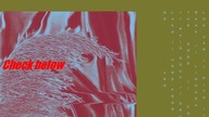 Pariah Here From Where We Are leak mp3