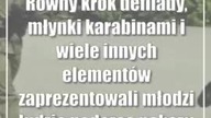 Maszerują, aż miło popatrzeć