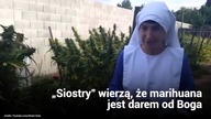 Zakonnice, które hodują marihuanę