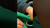 H-Tech Raptor TRX4 #rccar #rccrawler