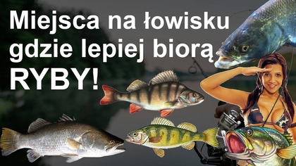 Gdzie najlepiej biorą Ryby na łowisku - Wędkarstwo