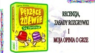 Pędzące żółwie zasady gry, recenzja przykładowa rozgrywka # 19