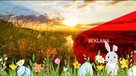 Tvs - Oprawa wielkanocna 2021