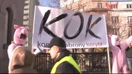 trolowanie KOD