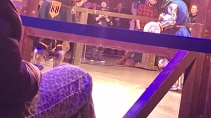 Gala Walk Rycerskich #Shorts