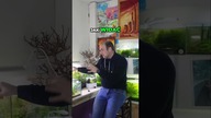Rok w nieruszanym paludarium  jak to wygląda? 