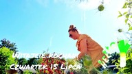 Chichester  Mój dom  vblog 