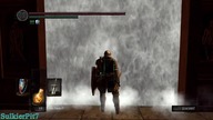 Dragon Slayer Ornstein and Executioner Smough NG+7 - Boss Fight - Dark Souls Remastered