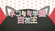 Kakegurui Picture Drama Special 2 - Hyakkaou, the School of Cat ears *JP*