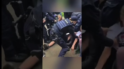Konie czy protest?  Spór o Morskie Oko znów eskaluje! #Zakopane #MorskieOko #Shorts