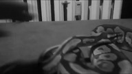 Tribute to Abi the Royal Python [*]