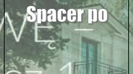 Spacer po Wieniawie z Fundacją Szpilka