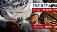 Hodowla Stanisława - Podsumowanie sezonu lotowego - Gołębie do nabycia.