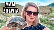 Jest żółw i najnudniejszy festyn ever.  Epir #8 | vlog 126