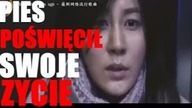PIES POŚWIĘCIŁ SWOJE ŻYCIE!