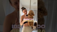 dzień groomera Stefana