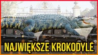 10 NAJWIĘKSZYCH KROKODYLI