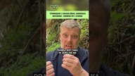 Pan Czarnek ma plan.  Jaki? Sprytny, oczywiście #shorts