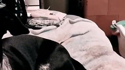 8 października 2024