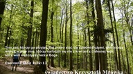swiadectwo Krzysztofa Mrówka