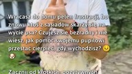 Jak pomóc psu w stresujących sytuacjach?  #Pies #ZachowaniePsów #Frustracja