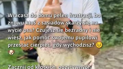 Jak pomóc psu w stresujących sytuacjach?  #Pies #ZachowaniePsów #Frustracja