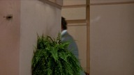 HIDDEN 2.  Ukryty 2.  (1993) lektor