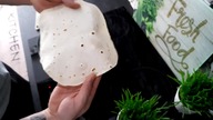 Jak zrobić pyszną domową tortille? Szybki i prosty przepis.