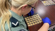 68-LATKA NA GRANICY Z UKRAINĄ CHCIAŁA PRZEMYCIĆ ZŁOTE MONETY WARTE BLISKO 1,5 MILIONA ZŁOTYCH