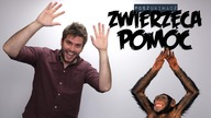 ZWIERZĘCA POMOC | Poszukiwacz #396