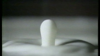 troskliwe misie VHS