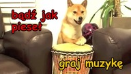 Pieseł
