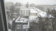 Śneg