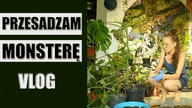 Letnie PRZESADZANIE roślin domowych VLOG