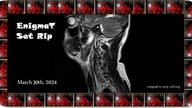 Rathbone Place - Sunshine On A Rainy Day {Cut From Ferry Set}